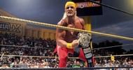Hulk Hogan after beating Yokozuna!